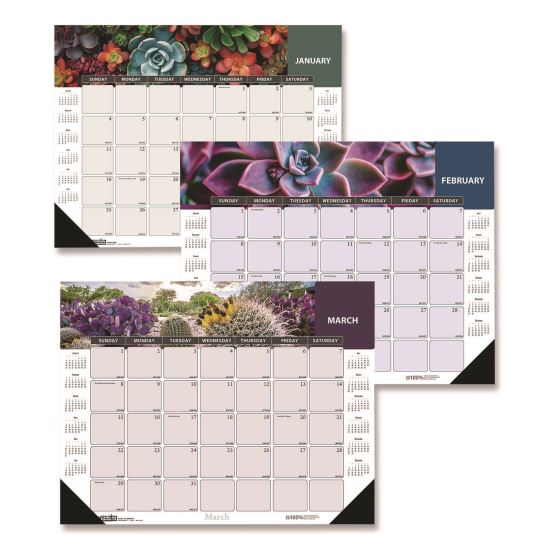 Recycled Succulent and Cacti Desk Pad Calendar, 17 x 22, Multicolor Sheets, Black Corners, 12-Month (Jan to Dec): 20261
