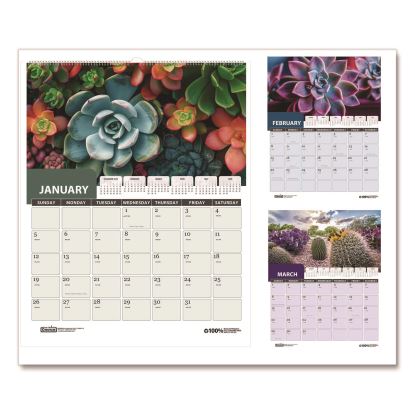 Recycled Succulent and Cacti Wall Calendar, 14 x 11, Multicolor Sheets, 12-Month (Jan-Dec): 20261