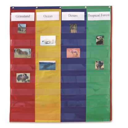 Two- and Four-Column Double-Sided Pocket Chart, 9 Pockets/Chart, 30 x 38, Blue/Green/Red/Yellow1