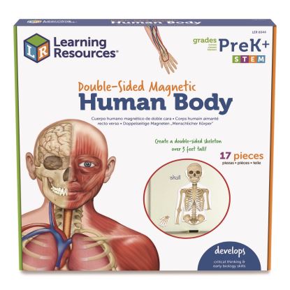 Double-Sided Magnetic Human Body, Grades K to 5, English/Spanish, Assorted Colors, 17 Pieces1