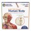 Double-Sided Magnetic Human Body, Grades K to 5, English/Spanish, Assorted Colors, 17 Pieces1