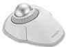 Kensington K70991WW mouse Office Ambidextrous RF Wireless + Bluetooth Optical 1600 DPI2