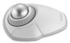 Kensington K70991WW mouse Office Ambidextrous RF Wireless + Bluetooth Optical 1600 DPI6