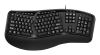 Adesso AKB-150UB keyboard Home/Office USB QWERTY US International Black2