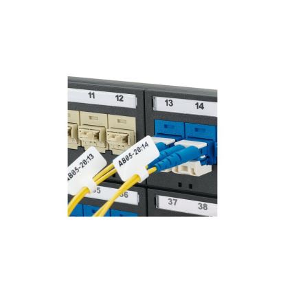 Panduit F100X213AJT printer label1