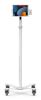 Compulocks MCRSTDEXWUCLGVWMW multimedia cart/stand White Tablet Multimedia stand1