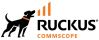 RUCKUS Networks 802-8200-R-4 warranty/support extension 4 year(s)1