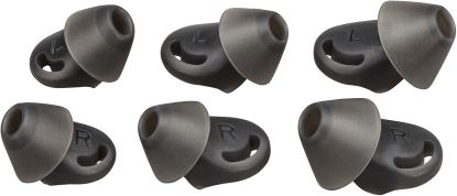 PLY VOY 6200 LG EARTIPS(2PCS)1