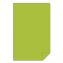 Color Paper, 24 lb Bond Weight, 11 x 17, Terra Green, 500/Ream, 5 Reams/Carton1