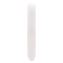 Travel Toothbrush Case, Translucent1
