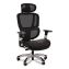 Minverva Pro Multifunction Chair, Supports Up to 275 lb, 17.7" to 21.4" Seat Height, Black Seat, Black Back, Black Base1