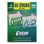 Extra Polar Ice and Spearmint Sugar-Free Gum Variety Pack, Polar Ice/Spearmint, 35 Sticks/Pack, 8 Packs/Carton1
