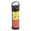 FUNtainer Pokémon Stainless Steel Vacuum Insulated Water Bottle, 16 oz, Multicolor1