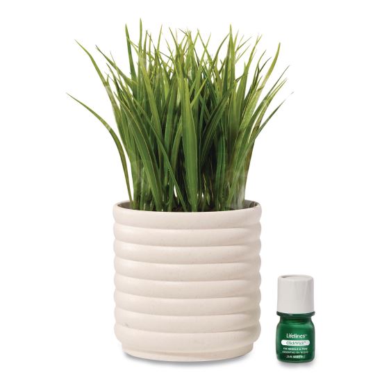 Evaporative Aromatherapy Essential Oil Grass Plant Diffuser with Fir Needle and Pine Essential Oil, 6.2 x 9.5, White/Green1