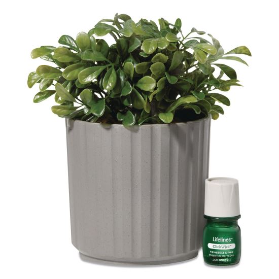 Evaporative Aromatherapy Essential Oil Boxwood Plant Diffuser with Fir Needle/Pine Essential Oil, 6.2 x 6.2 x 9.5, Gray/Green1