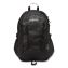 Agave Backpack, Fits Devices Up to 15", 13.5 x 10 x 19, Black1