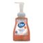 Original Antibacterial Defense Foaming Hand Wash, Original Scent, 10 oz Pump Bottle1