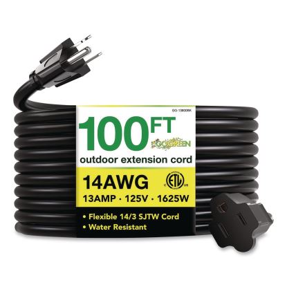 14 AWG Heavy-Duty Extension Cord, 100 ft, 13 A, Black1