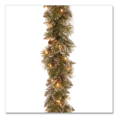 Pre-Lit Glittery Bristle Pine Garland, AC Powered, Clear Incandescent Lights, 108" Long, Green1