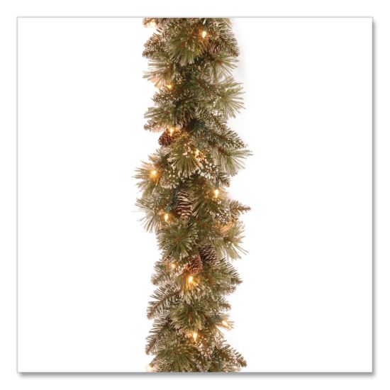 Pre-Lit Glittery Bristle Pine Garland, AC Powered, Clear Incandescent Lights, 108" Long, Green1