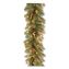 Pre-Lit Glittery Pine Gold Garland, AC Powered, Clear Incandescent Lights, 108" Long, Green1