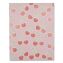 Fruit Themed Laminated Two-Pocket Folder, Randomly Assorted Designs, 3-Hole Punched, 11 x 8.5, Randomly Assorted Colors1