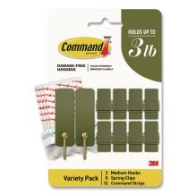 Limited Edition Decorative Hook Variety Pack, (8) Mini Spring Hooks, (2) Medium Hooks (Supports 3lb), Sage Green/Brass, 10/PK1