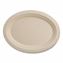 Fiber Plates, Paper, 12" Oval, Natural, 500/Carton1
