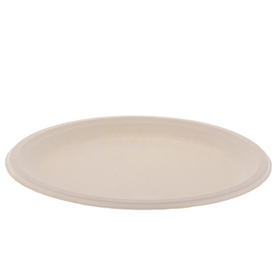 EarthChoice PFAS Free Compostable Dinnerware, Plate, Sugarcane, 10.25" dia, Natural, 500/Carton1