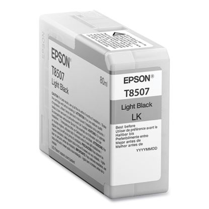 T850700 Ink, Light Black1
