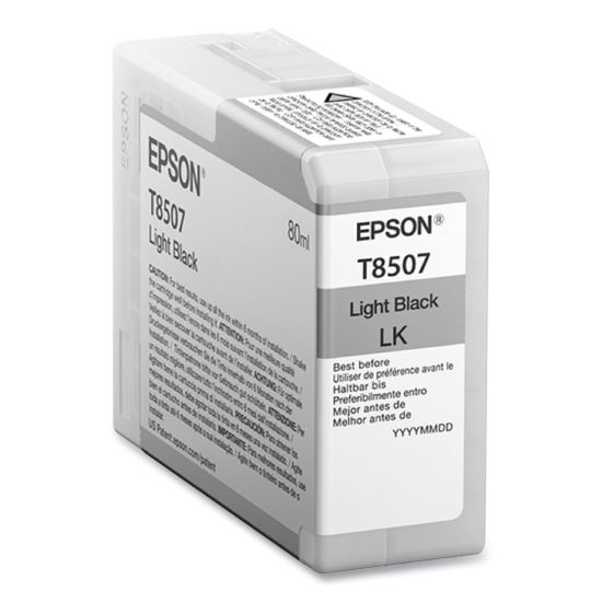 T850700 Ink, Light Black1