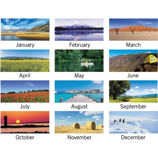 At-A-Glance Landscape Monthly Calendar 1