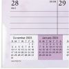 At-A-Glance Beautiful Day 2025 Monthly Desk Pad Calendar, Standard, 21 3/4" x 17" 5