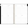 At-A-Glance Signature Lite Weekly Monthly Planner 5