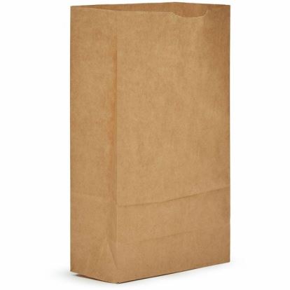 AJM #6 Kraft Paper Grocery Bags 1