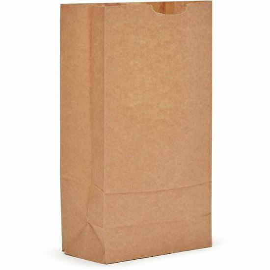 AJM #10 Kraft Paper Grocery Bags 1