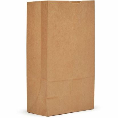 AJM #12 Kraft Paper Grocery Bags 1