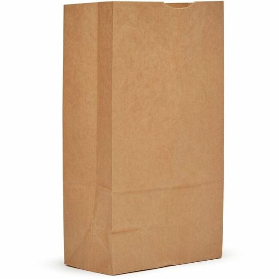 AJM #12 Kraft Paper Grocery Bags 1