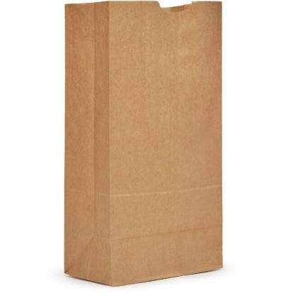 AJM #20 Tall Extra Heavy-Duty Kraft Paper Grocery Bags 1