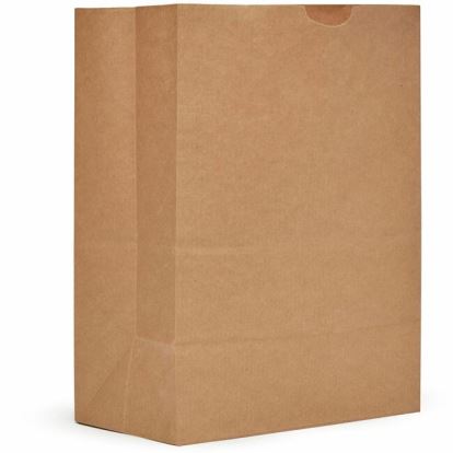 AJM 1/8 BBL #57 Kraft Paper Grocery Sacks 1