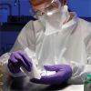 Kimtech Purple Nitrile-Xtra Exam Gloves 4