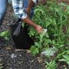 Quick Dam Flood Bags 3