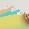 Avery&reg; File Folder Labels on 4" x 6" Sheets, Removable Adhesive, White, 2/3" x 3-7/16" , 252 Labels (5230) 2