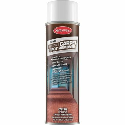 Sprayway Spot & Stain Remover 1