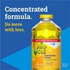 CloroxPro Pine-Sol® Multi-Surface Cleaner 4