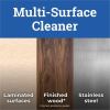 Pine-Sol Multi-Surface Cleaner 11