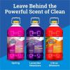Clorox Fraganzia Multi-Purpose Cleaner 12