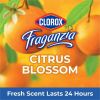 Clorox Fraganzia Multi-Purpose Cleaners 7