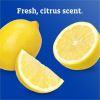 Clorox Screen + Sanitizing Wipes 13