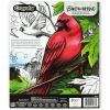 Crayola Bird Watching Coloring Book Printed Book 3